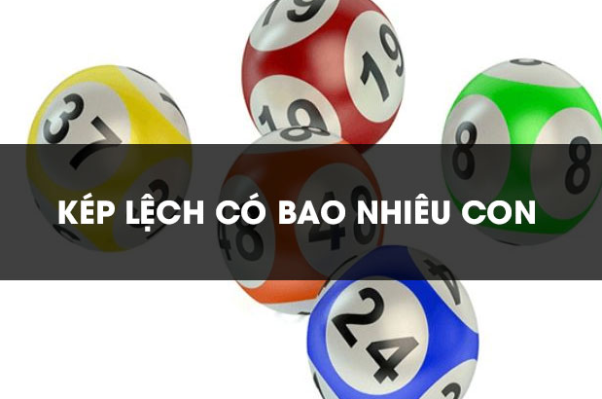 kép lệch có bao nhiêu con